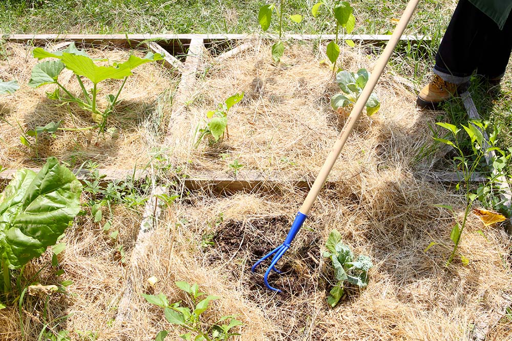 Carré Potager : La gamme dédiée de REVEX